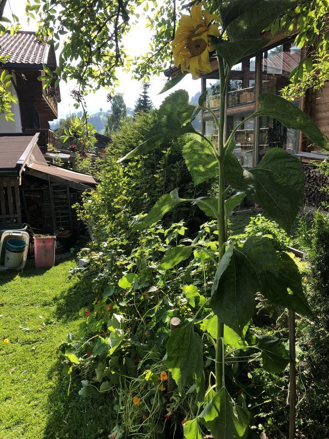 Gaestehaus Lackner Oberau Exteriör bild